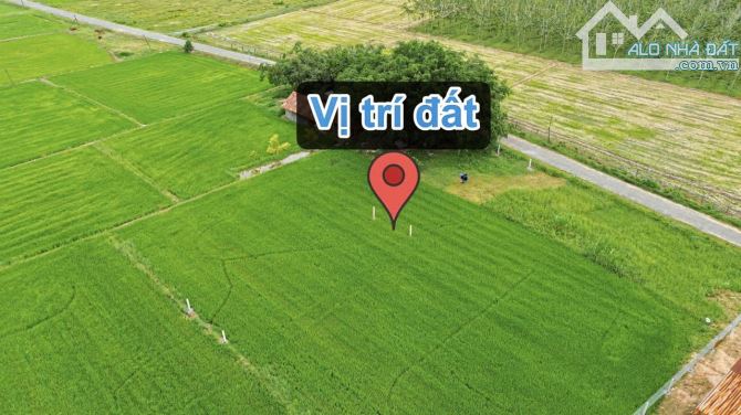 ✨ 5.5x40m (Full ONT). Mặt đường Nhựa 2 Ô tô né nhau, KDC hiện hữu, View cánh đồng - 319Tr - 6