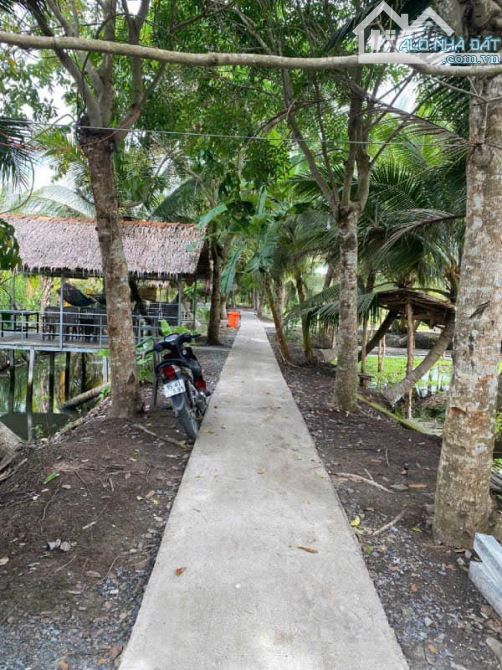Chuyển nhượng lô đất hơn 23.000m2 cách Nhà Thờ Cái Chanh 500m mặt tiền lộ hơn 51m - 2