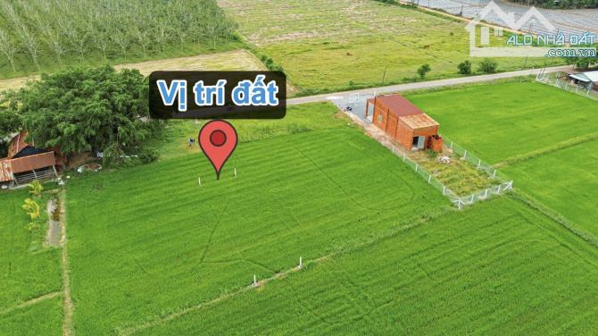 ✨ 5.5x40m (Full ONT). Mặt đường Nhựa 2 Ô tô né nhau, KDC hiện hữu, View cánh đồng - 319Tr - 7