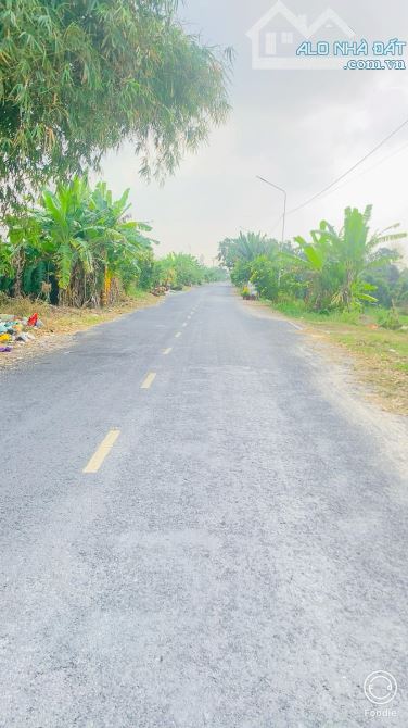 Bán đất 1.600 m2 thổ cư gần cầu Ba Láng QL 61C