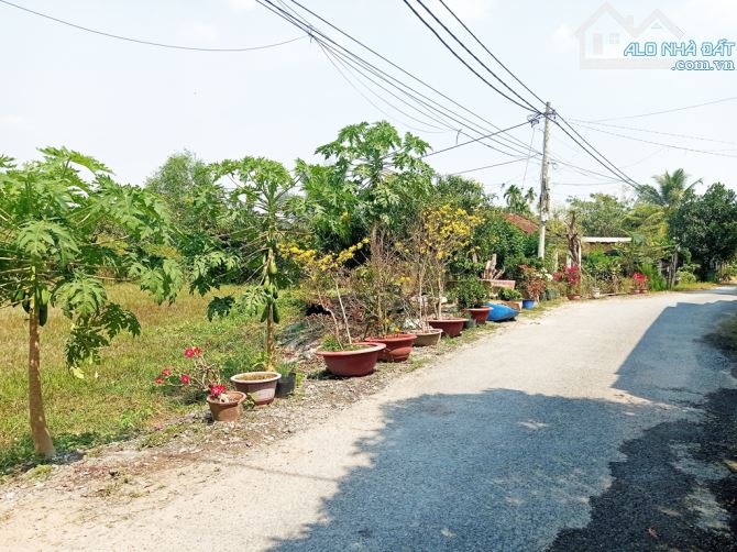 Bán đất đường Huỳnh Thị Xem - 326m2 - 15x22.5 - 285m2 thổ cư - xã An Phú - Củ Chi