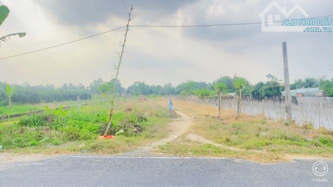 Bán đất 1.600 m2 thổ cư gần cầu Ba Láng QL 61C - 10