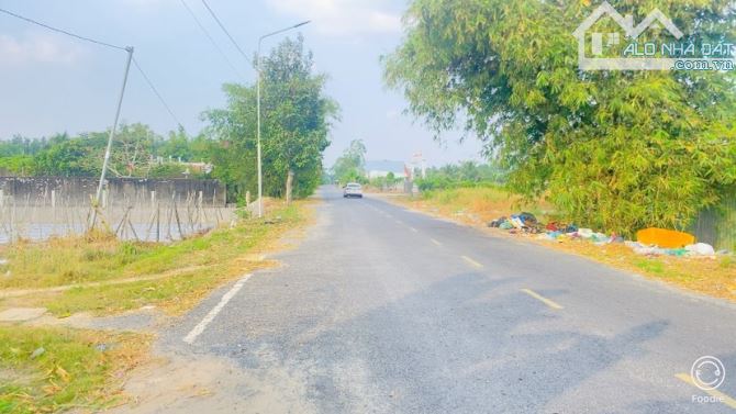 Bán đất 1.600 m2 thổ cư gần cầu Ba Láng QL 61C - 11