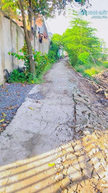Cho thuê nhà 210 m2 có sân rộng kế KDC 91B tiện ở 5 triệu - 1