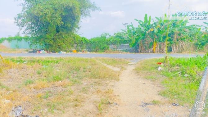 Bán đất 1.600 m2 thổ cư gần cầu Ba Láng QL 61C - 1