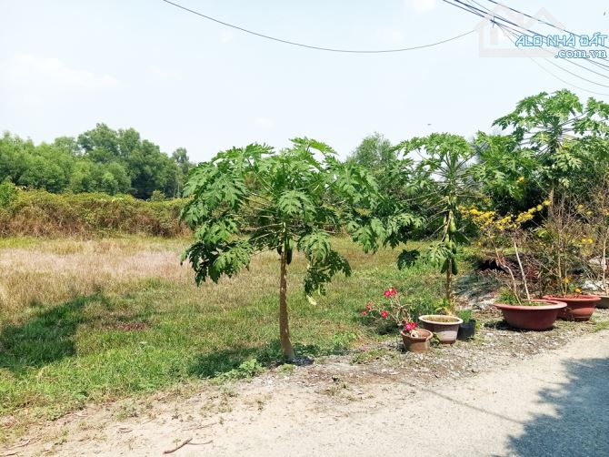 Bán đất đường Huỳnh Thị Xem - 326m2 - 15x22.5 - 285m2 thổ cư - xã An Phú - Củ Chi - 1