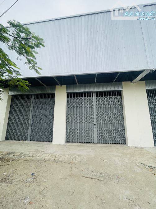 Cho thuê kho kiên cố 200m2 mặt tiền đường Đậu Quang Lĩnh - 1