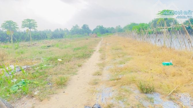 Bán đất 1.600 m2 thổ cư gần cầu Ba Láng QL 61C - 12