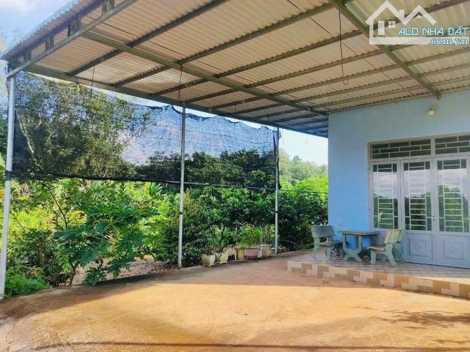 bán vườn nghĩ dưỡng Hàng Gòn - Long Khánh 1288m2 full hồng - 4