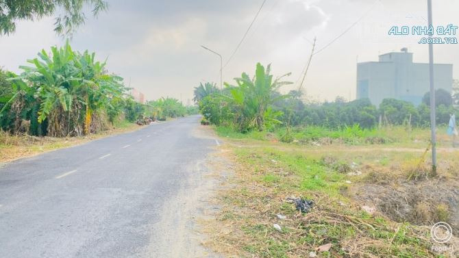 Bán đất 1.600 m2 thổ cư gần cầu Ba Láng QL 61C - 2