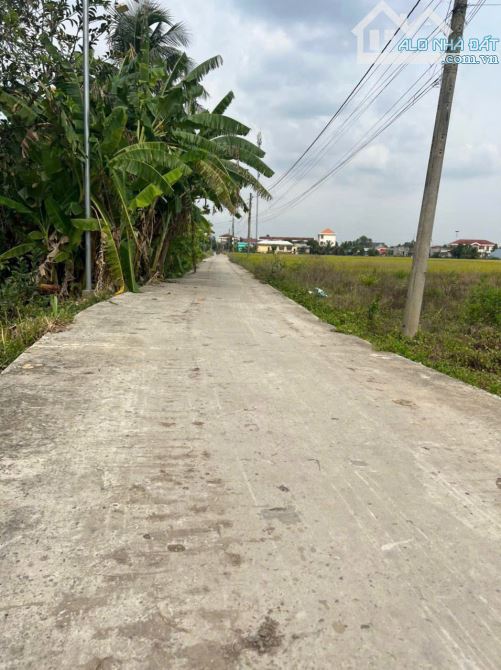 5×27 thổ đường Nguyễn văn lũy bình trinh đông_Tân trụ Long An 620 triệu sát trường học - 2