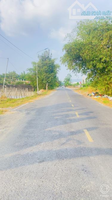 Bán đất 1.600 m2 thổ cư gần cầu Ba Láng QL 61C - 3