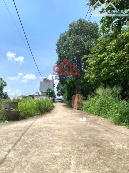 Bán gấp duy nhất 1 lô Du Sinh Kp.10 P. Hố Nai sổ riêng full thổ cư giá siêu rẻ - 3