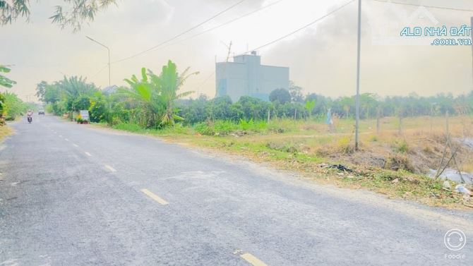 Bán đất 1.600 m2 thổ cư gần cầu Ba Láng QL 61C - 4