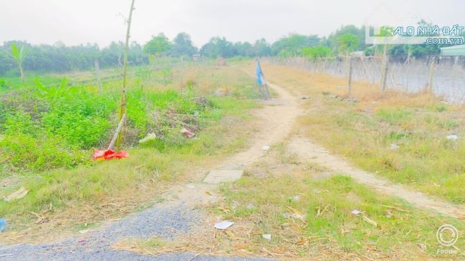 Bán đất 1.600 m2 thổ cư gần cầu Ba Láng QL 61C - 9