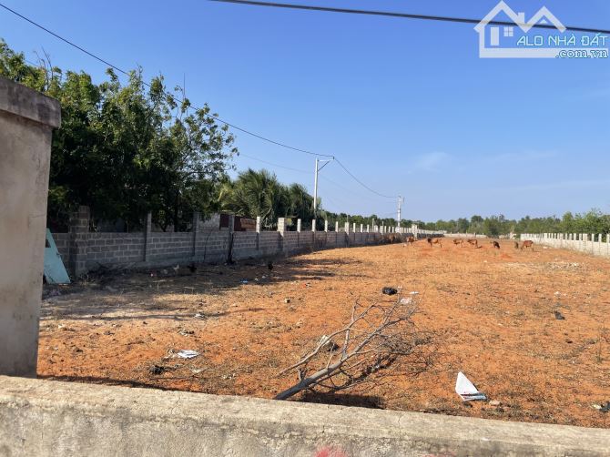 Bán đất mặt đường nhựa xã Thiện Nghiệp Phan Thiết - 1