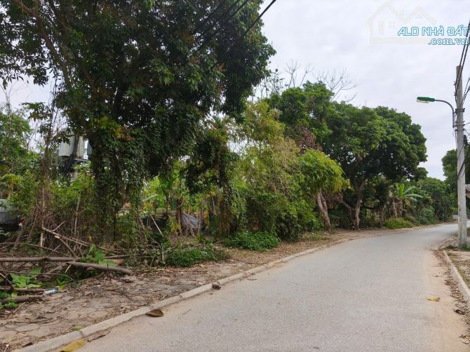 Bán đất Bắc Biên Long Biên DT 1750 m2, mt 20m giá 4,65tỷ - 1