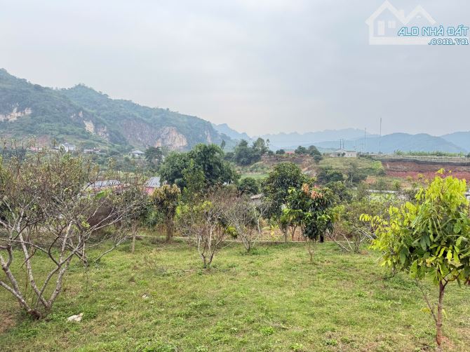 Bán Đất 897m² Tại Mộc Châu – 200m² Thổ Cư, View Cao Thoáng, Gần Cầu Kính Bạch Long - 1