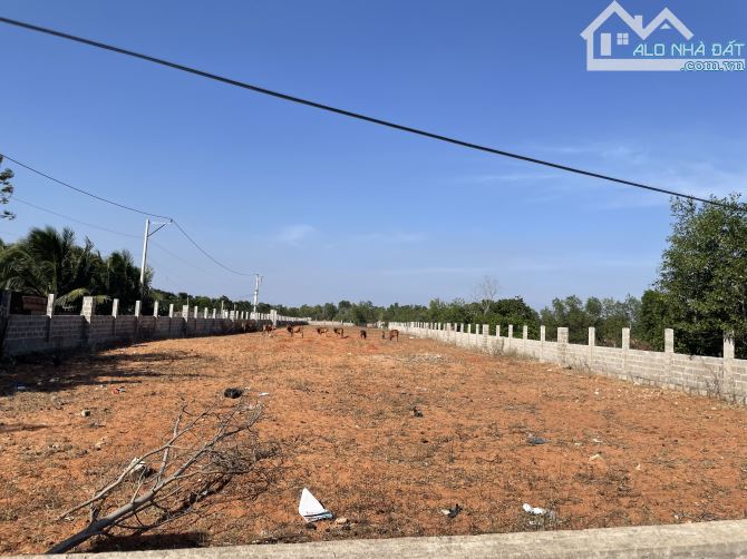 Bán đất mặt đường nhựa xã Thiện Nghiệp Phan Thiết - 2