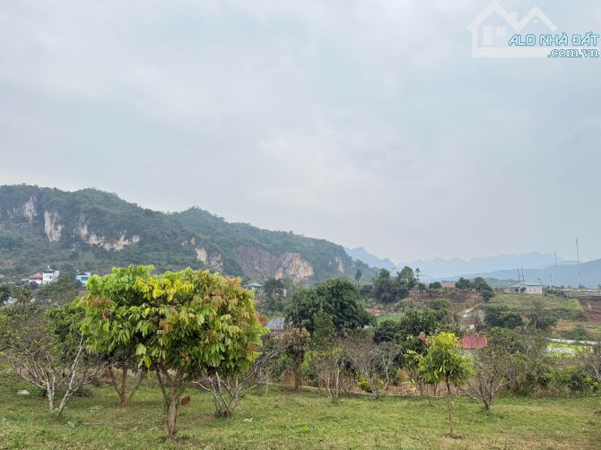 Bán Đất 897m² Tại Mộc Châu – 200m² Thổ Cư, View Cao Thoáng, Gần Cầu Kính Bạch Long - 2