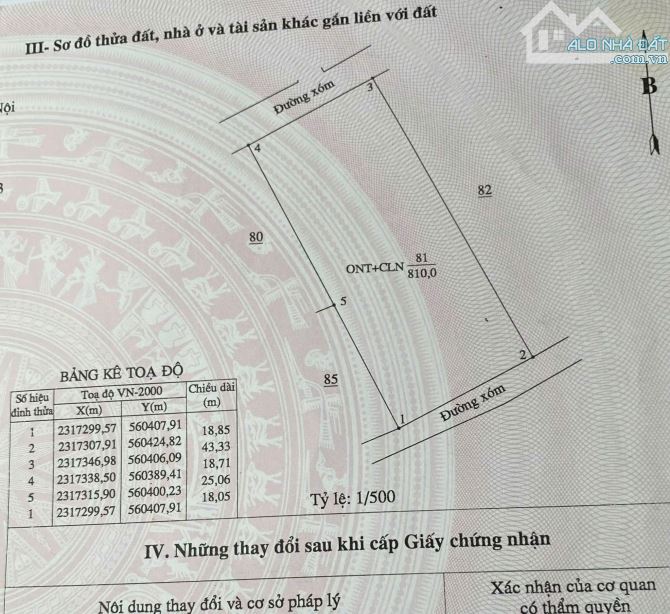 NHÀ VƯỜN NHO NHỎ XINH XINH CHO ANH CHỊ YÊU THIÊN NHIÊN - 3