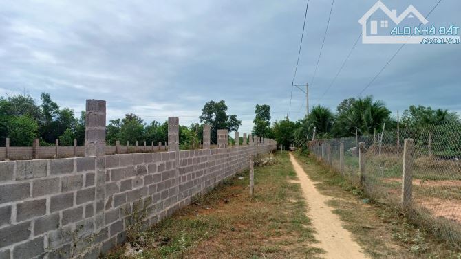 Bán đất mặt đường nhựa xã Thiện Nghiệp Phan Thiết - 5