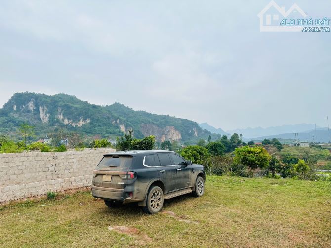 Bán Đất 897m² Tại Mộc Châu – 200m² Thổ Cư, View Cao Thoáng, Gần Cầu Kính Bạch Long - 5