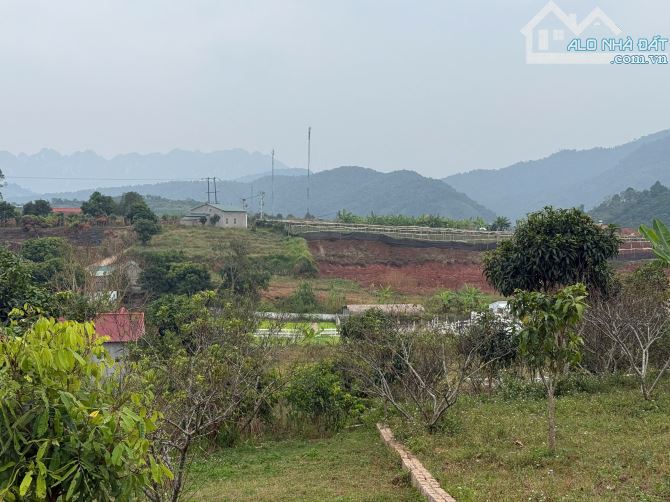 Bán Đất 897m² Tại Mộc Châu – 200m² Thổ Cư, View Cao Thoáng, Gần Cầu Kính Bạch Long - 6