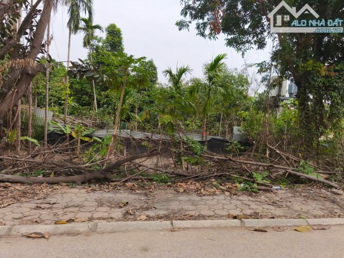 Bán đất Bắc Biên Long Biên DT 1750 m2, mt 20m giá 4,65tỷ - 7
