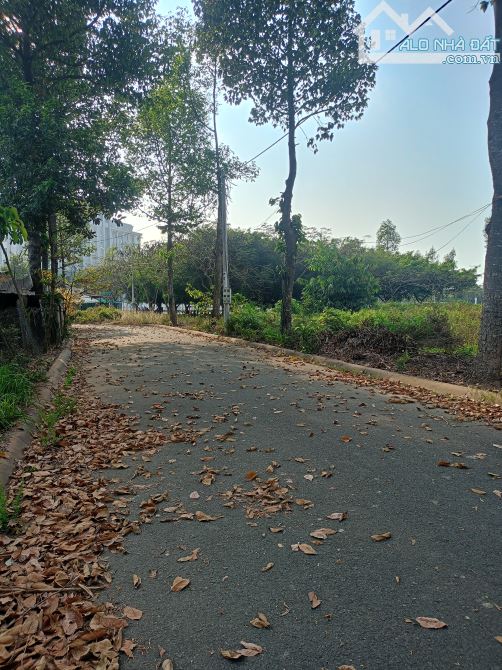 Lô đất đường số 6, khu Đại Dương, Phường 6 TP Tân An - 2