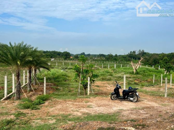 Ngộp ngân hàng, đất phường Ninh Sơn, Tp Tây Ninh, 6x50m2, giá 450 triệu. - 1