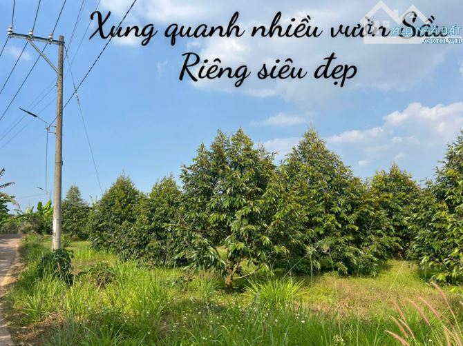 Đồng Nai bán lô đất thuộc tp. Long Khánh đường bê tông nở hậu - 1