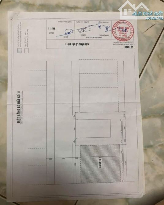 Hàng hiếm lô góc khu phân lô Biệt Thự 326 Cát Dài, Lê Chân 125,4m2 ngang 11m chỉ 150tr/m2 - 2