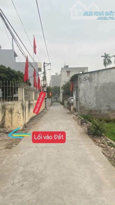 Cần Bán lô đất lô 01  ngõ  phố trương hán siêu nhị châu Tphd - 4