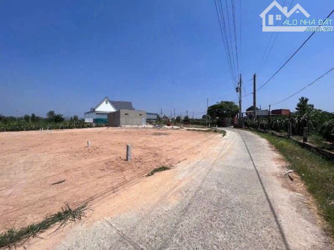 🌼 Bán đất thổ cư trong khu dân cư bàn cờ Thị Trấn Thuận Nam