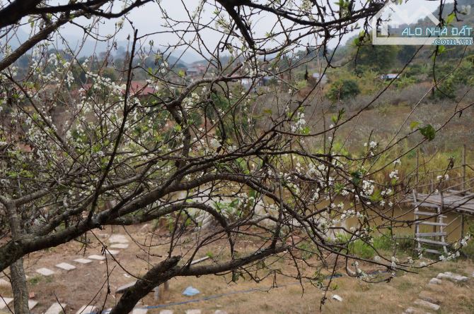 Bán Đất View Đẹp Tại Khu Du Lịch Cộng Đồng Tổ Vặt Hồng, P. Mường Sang, TX Mộc Châu - 14
