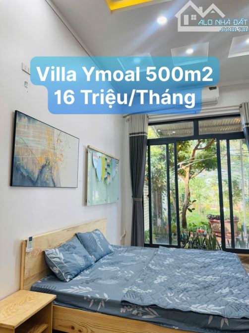 Cho thuê villa sân vườn- Y Moal. bMT