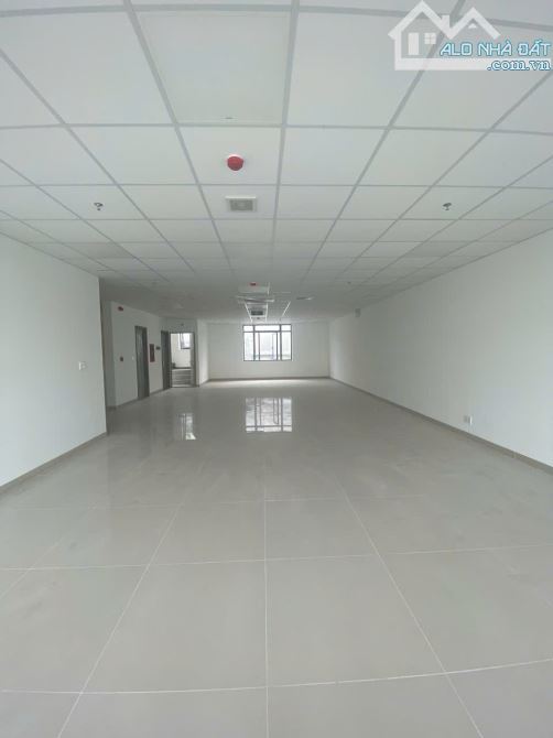 Cho thuê tòa nhà 7 tầng, 1500m2 đường 10m5 Trần Hưng Đạo gần cầu Trần Thị Lý