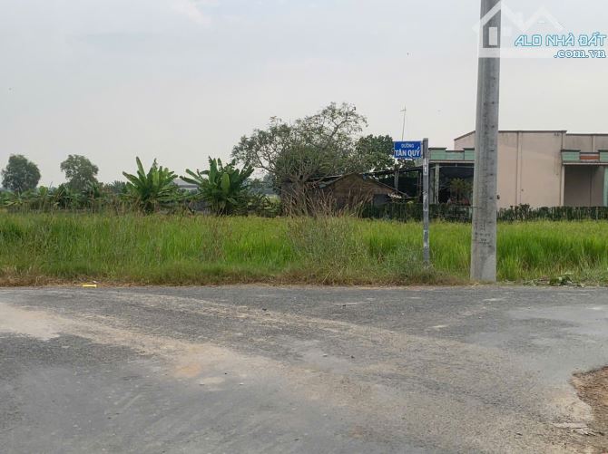 Bán đất thổ cư đường Tân quý, xã Tân Tập, Cần Giuộc, Long An