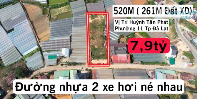 Bán Đất Mặt Tiền Đường Nhựa Phường 11 TP Đà Lạt 520m Giá Chỉ 7,9tỷ