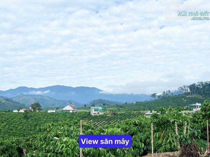 ✨ 1.254m2 View Hồ, View đồi núi săn mây bao quanh rừng thông mát mẻ, nằm trong KDC - 669Tr - 1