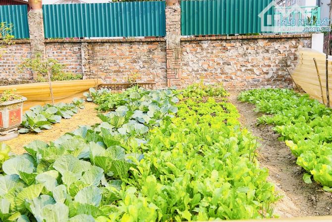 LÔ GÓC 2 MẶT TIỀN NGÕ THÔNG Ô TÔ VÀO TẬN ĐẤT VÕNG LA _ĐÔNG ANH ZÁ RẺ - 1