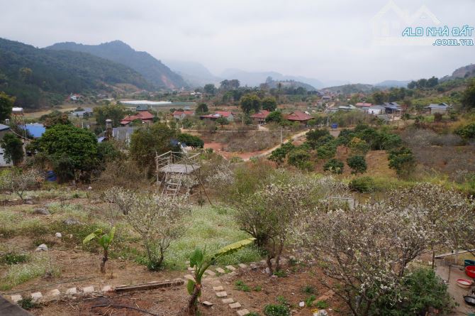 Bán Đất View Đẹp Tại Khu Du Lịch Cộng Đồng Tổ Vặt Hồng, P. Mường Sang, TX Mộc Châu - 16