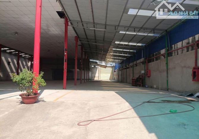 Cho thuê mặt bằng KD 1000m2, mặt tiền đường chính nguyễn khuyến,Trảng Dài - 2