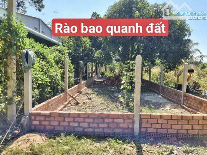 ✨ Vị trí rất đẹp, xem định vị là thấy Tiềm Năng. Ngang 4.56 x Dài 26.24m (50m ONT) - 279Tr - 2