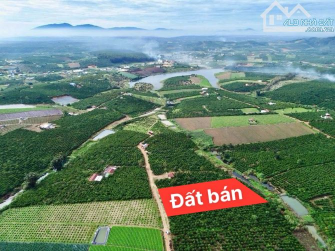 ✨ 1.254m2 View Hồ, View đồi núi săn mây bao quanh rừng thông mát mẻ, nằm trong KDC - 669Tr - 3
