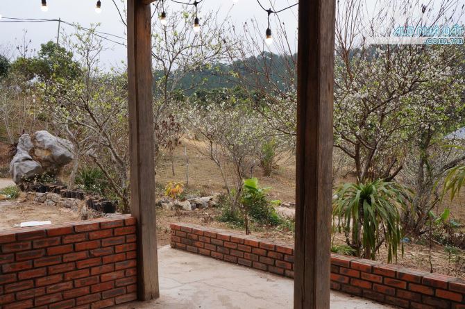 Bán Đất View Đẹp Tại Khu Du Lịch Cộng Đồng Tổ Vặt Hồng, P. Mường Sang, TX Mộc Châu - 17