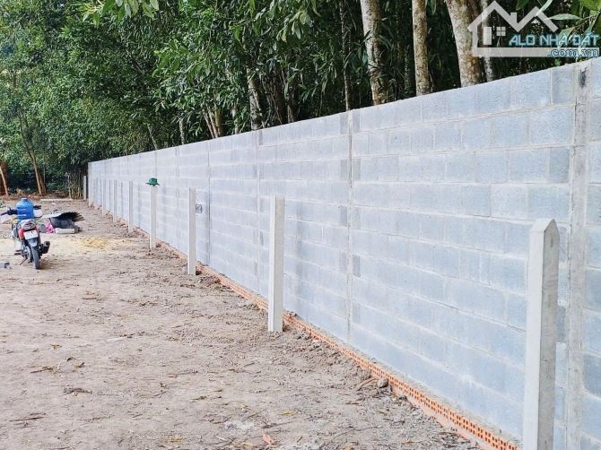 ✨ Chỉ 399Triệu/ sở hữu: 5x33m (FULL ONT), KDC đông, sát bên nhà trọ Tấn Tài, còn đúng 2 Lô - 4