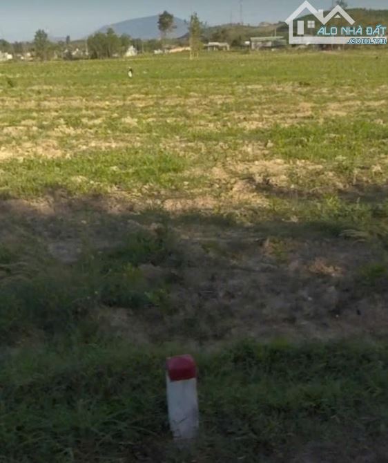 36 400m2 QL55B, mặt tiền chính dài hơn 2 sân bóng đá, 3 mặt thoáng, gần nút giao cao tốc.
