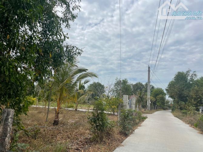 Bán đất 3484m2 đất ONT Tân Phước - TX LaGi cách QL55 600m giá rẻ nhất